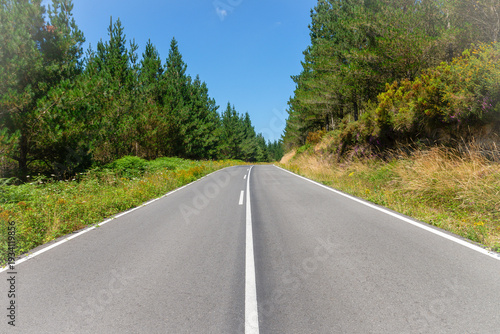 Clear road stretches straight ahead between green trees