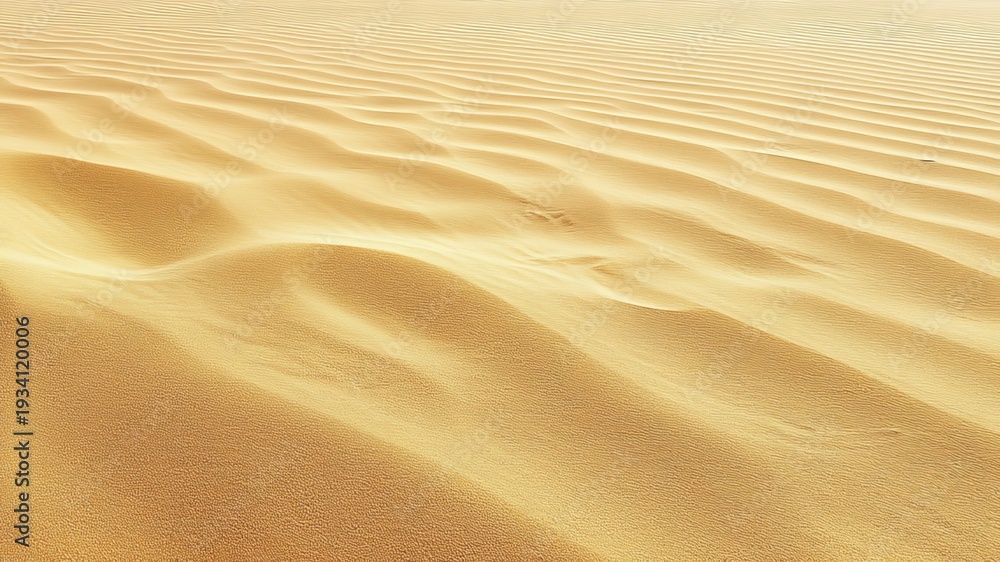 Fototapeta premium Golden Sandscape with Gentle Waves in Perspective for a Beautiful Beach Backdrop and Pattern