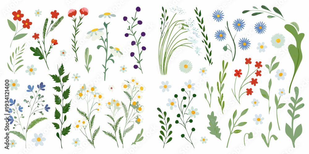 Fototapeta premium Collection of colorful wildflowers and botanical illustrations on a white background