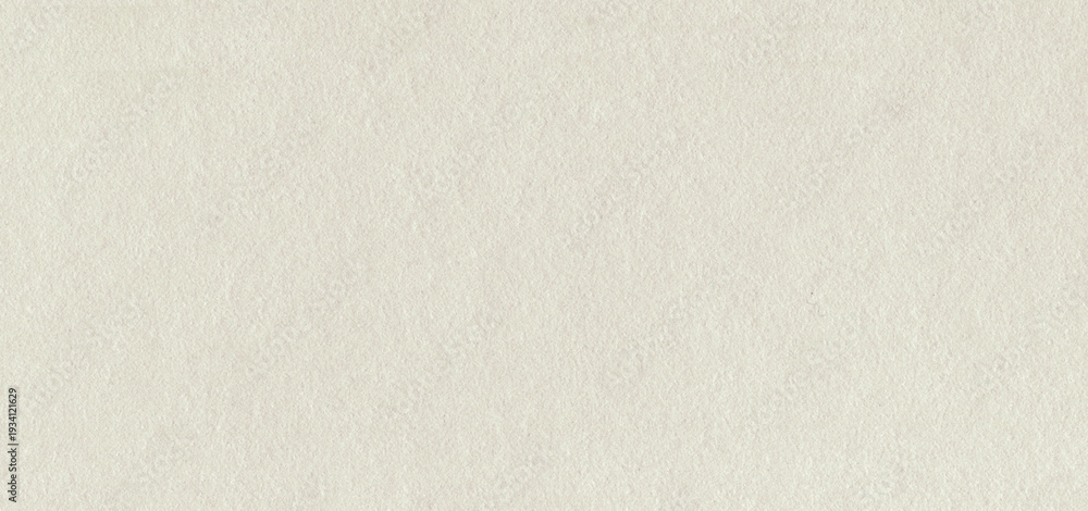 Fototapeta premium Ivory paper texture background. White canvas with speckles. Creamy cardboard with eggshell texture. Ecru rectangle sheet. Vintage beige grunge paper background