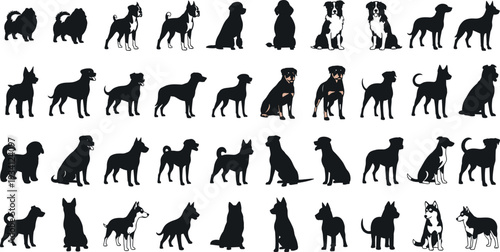 Vector illustration of stylized dogs in multiple breeds and poses symbolizing pets, culture, diversity, and education