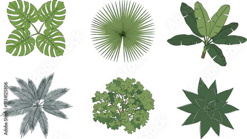Set of tropical plant and tree symbols top view for landscape design plan and garden mapping with hand drawn style isolated on white background