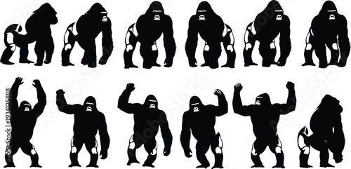 Set of black gorilla silhouettes isolated on white background, various poses of silverback apes for wildlife design, animal vector illustration and nature concepts