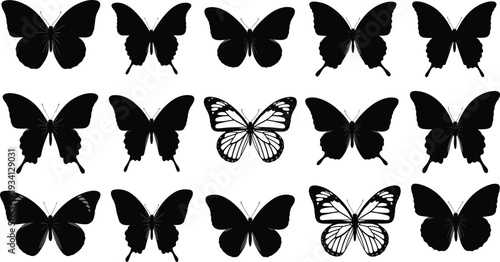 Collection of butterfly silhouettes and two detailed butterfly illustrations insect black