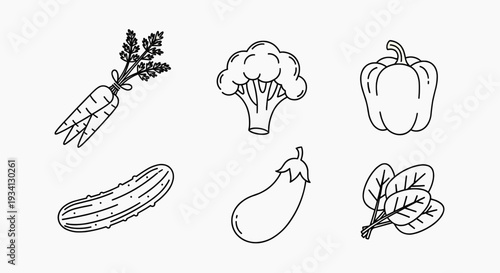 Assorted Vegetables Illustration Featuring Carrot, Broccoli, Pepper, Cucumber, Eggplant, and Leaves in a Simple Line Art Style