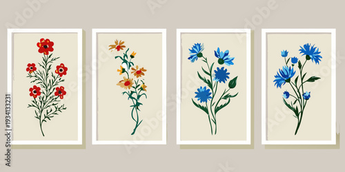 Four botanical illustrations of wildflowers displayed in matching frames