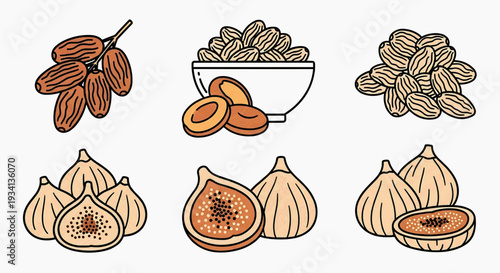 Healthy dried fruit variety illustration Dates, apricots, almonds, and figs. Perfect for nutritious snacks, wholesome ingredients, and a balanced diet