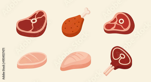 A variety of raw meat cuts arranged on a surface for display purposes indoors