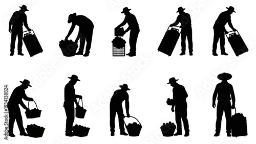 Diverse Silhouettes of Farmers and Workers Harvesting Produce in Agricultural Fields Vector Set