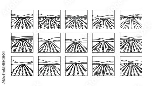 Collection of fifteen distinct black and white vector line art icons illustrating various stages of cultivated agricultural fields stretching towards distant rolling hills.
