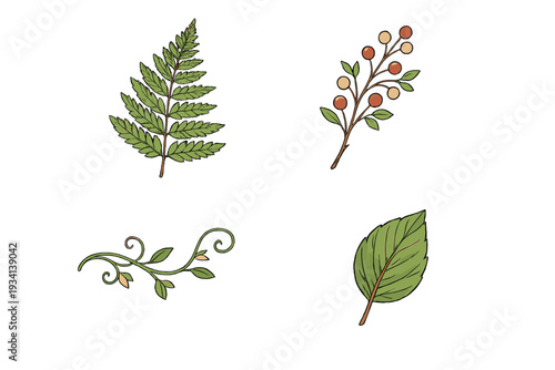 This collection of four hand-drawn botanical elements including a fern frond, a branch with red berries, a swirling vine, and a green leaf is displayed on a dark black background.