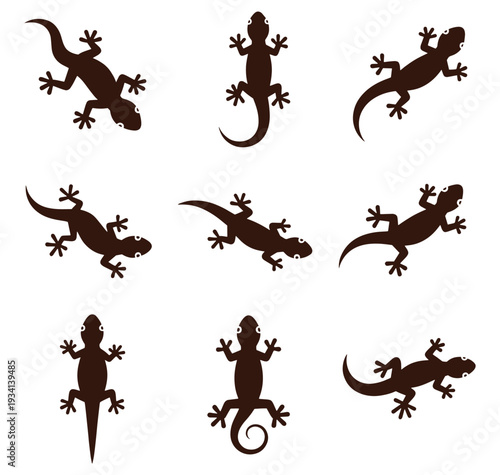 brown lizard silhouettes in various poses on white background