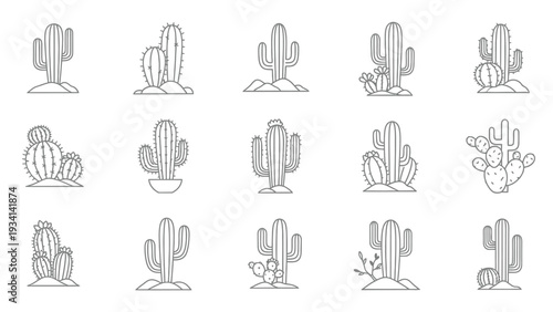 A collection of fifteen distinct desert cactus plant line art vector illustrations showcasing various shapes and forms