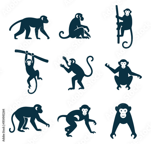 Set of monkey silhouettes in various poses on white background
