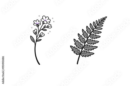 A set of two botanical illustrations featuring a flowering sprig and a fern leaf. The designs are styled as stickers with white borders against a solid black background.