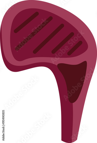 Grilled steak featuring sear marks for barbecue and food concepts