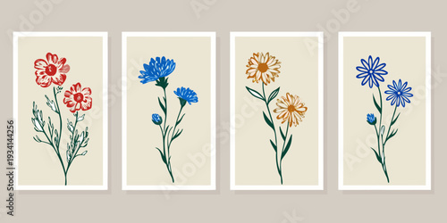 Four botanical illustrations of wildflowers in varying shades displayed vertically