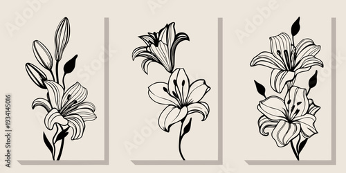 Elegant botanical illustration featuring three stylized lily flower arrangements
