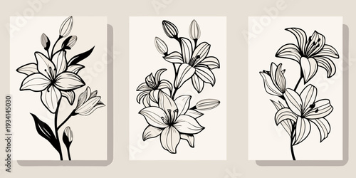Elegant triptych of black and white lily floral illustrations