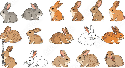 Cute Rabbit Vector Illustration Set Featuring Different Bunny Breeds in Sitting and Resting Poses Isolated on White Background for Farm Animal Pet Character Design Collection