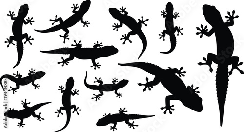 Lizard and Gecko Silhouette Vector Set featuring Reptiles in Various Poses for Nature Wildlife Herpetology and Tropical Exotic Animal Design