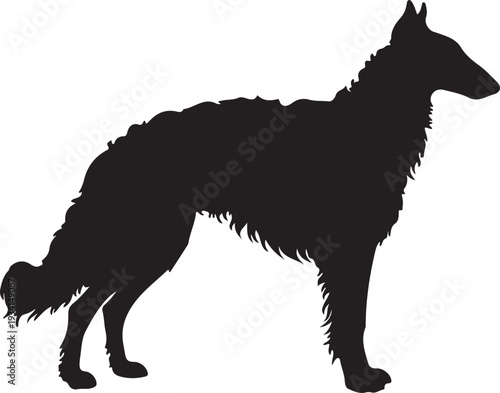 Borzoi dog in silhouette on white background.