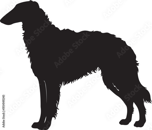 Borzoi dog in silhouette.