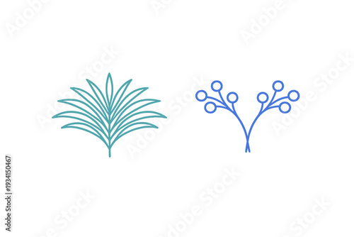 Minimalist illustration featuring a teal palm frond icon and a blue berry branch icon set against a dark black background. The designs are simple and symmetrical.