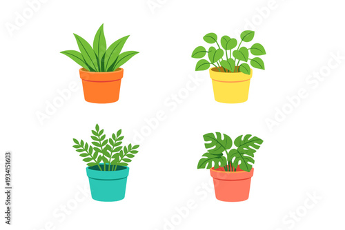 This illustration features four different types of green houseplants in vibrant pots of orange, yellow, teal, and pink, presented in a clean grid layout against a black backdrop.