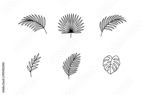 A collection of six minimalist tropical leaf line art illustrations, including palm fronds and monstera, presented in white outlines against a solid black background.