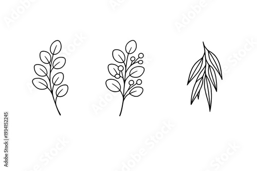 A collection of three minimalist botanical line art illustrations showing various leaf branches and stems. The white outlines contrast sharply against a solid black background.