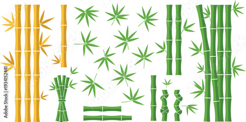 Bamboo Stalk and Leaf Collection with Green and Yellow Asian Plant Elements Isolated Flat Botanical Vector Illustration Set