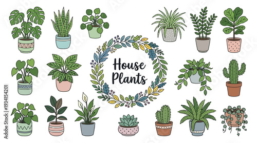 Hand Drawn House Plants Collection in Pots with Botanical Wreath Frame