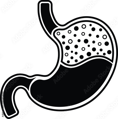 Black and white of a human stomach with internal circles human organ digestive system internal organs