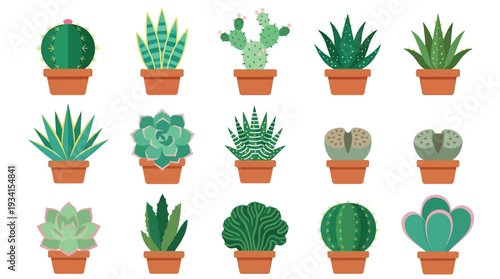 Flat design illustration collection of various potted cacti and succulents on white background