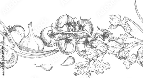 Seamless border of the garlic, tomatoes, green onion and parsley. Vector ink handmade elements. For packaging design, cards, cover, prints, product labels and fabric.