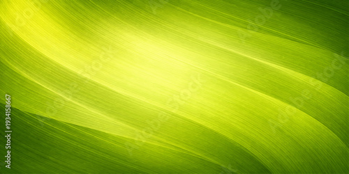 A fresh macro texture of green leaf veins creates an abstract nature pattern with bright summer light highlighting the detailed growth and linear foliage of a spring garden plant