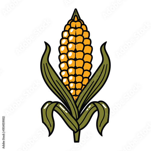 Ear of corn with husk and kernels on transparent background illustration