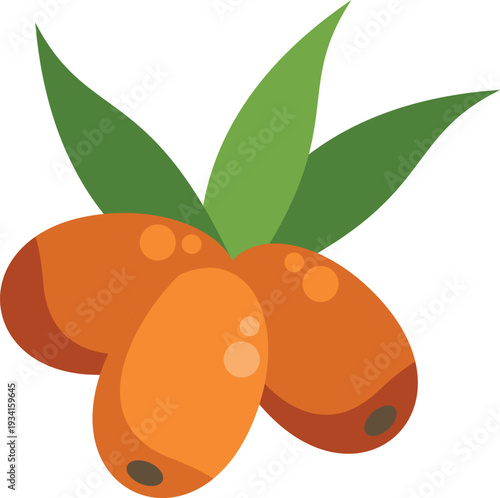 Sea buckthorn berries with vibrant orange color and green leaves representing health