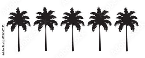 Five detailed palm tree silhouettes isolated on a white background, highly detailed palm tree vector
