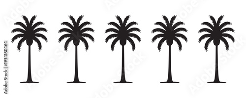 Five stylized palm tree silhouettes isolated on a white background, perfect for tropical designs