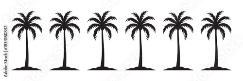 Line of tropical palm trees in silhouette on white background for summer vacation and beach design