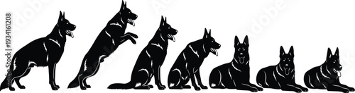 Silhouette of German Shepherd dogs in various poses on a white background dog breed canine