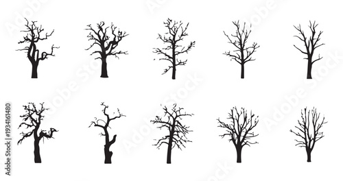 set of ten bare trees silhouettes, vector collection of black leafless tree shapes on white background