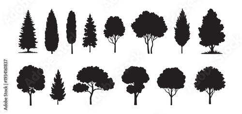 Assortment of tree silhouettes including conifers and deciduous species for nature scenes