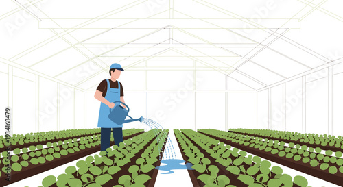 Farmer Watering Plants in Greenhouse Agriculture Vegetable Farming Work