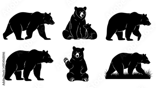 Six black bear silhouettes in different stances, showcasing their size and movement