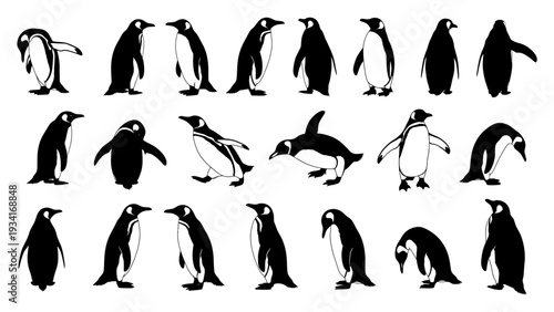 An illustration featuring multiple penguins in different standing poses and silhouettes against a white background