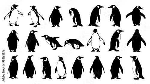 A black and white image featuring multiple penguin silhouettes in various poses and orientations