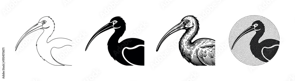 Fototapeta premium Ibis bird illustrations showcasing different artistic styles like outline, solid silhouette, engraved, and halftone dot.
